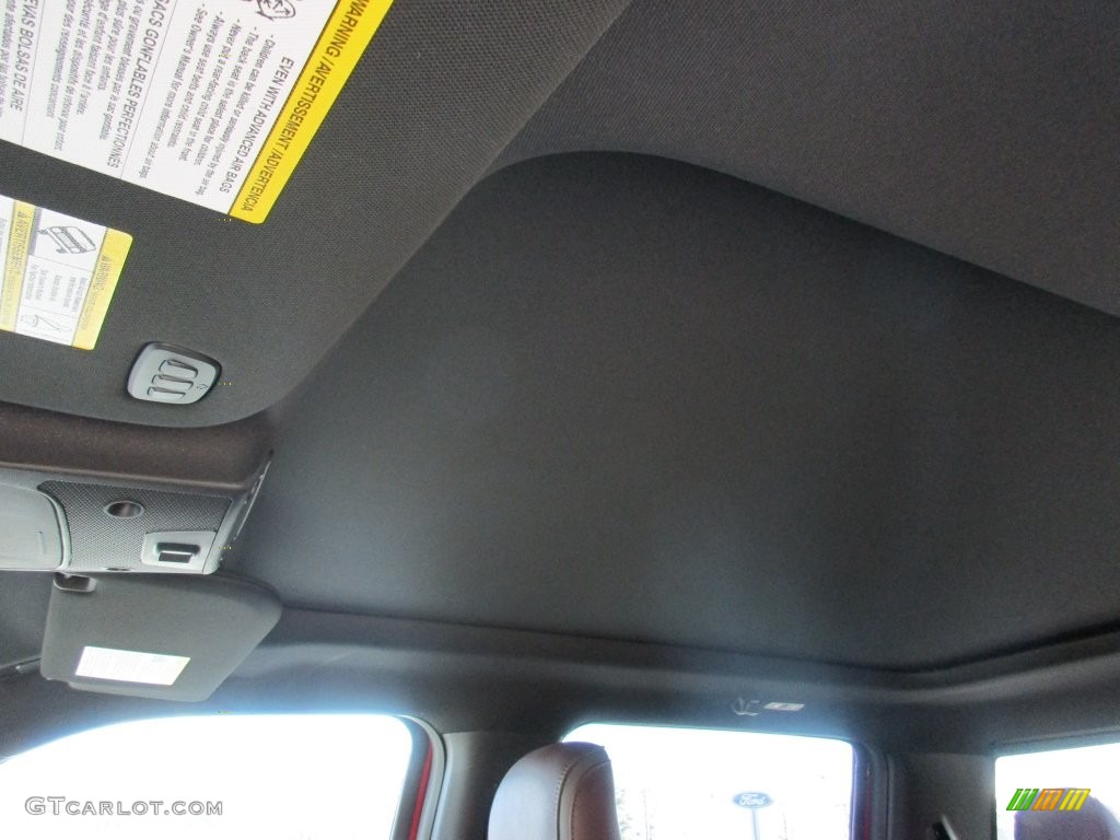 2016 F150 Platinum SuperCrew - Ruby Red / Platinum Brunello photo #17
