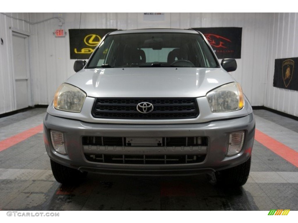 2002 RAV4 4WD - Titanium Metallic / Gray photo #4