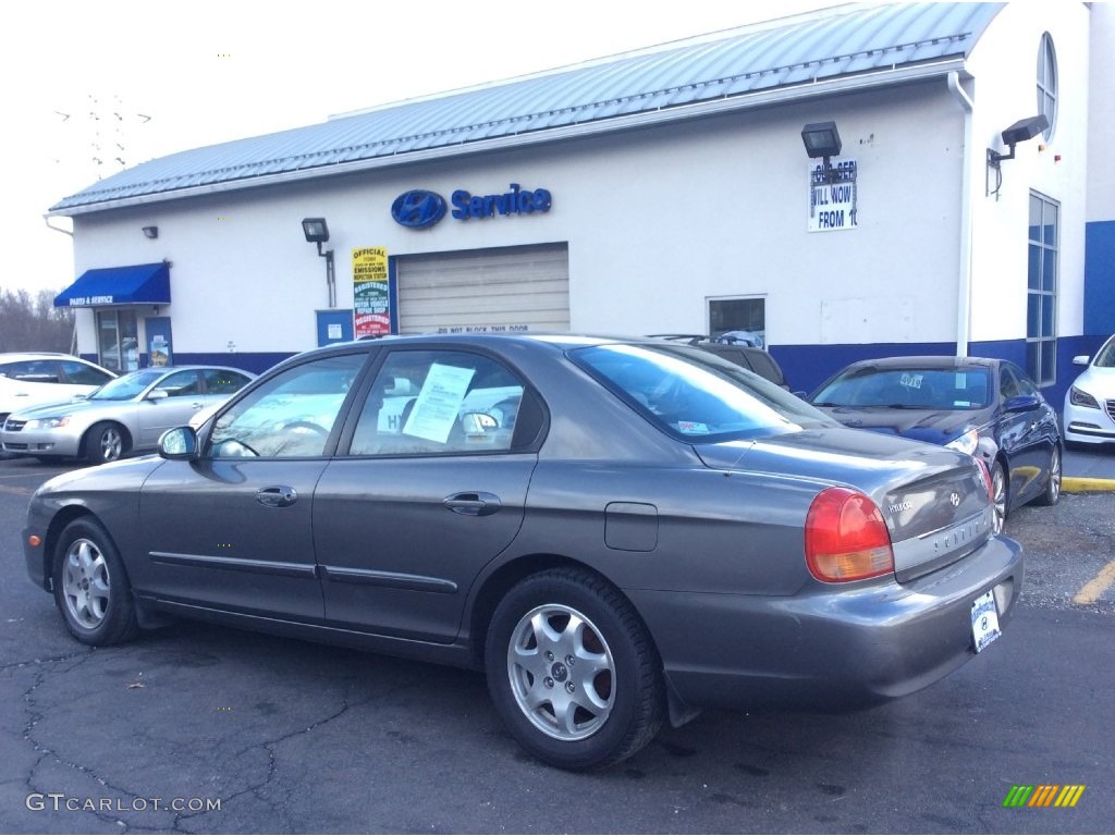 2001 Gray Metallic Hyundai Sonata GLS V6 110729731 Photo 6 GTCarLot