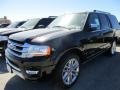 Shadow Black Metallic - Expedition Platinum Photo No. 2