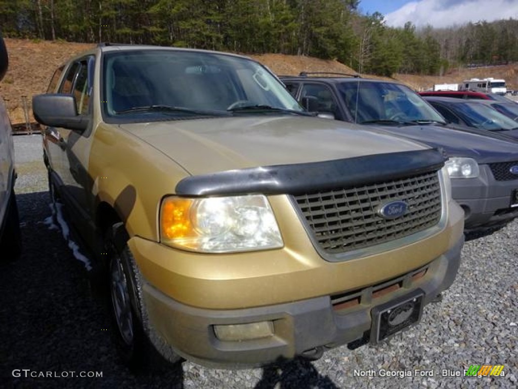 2004 Expedition XLT 4x4 - Pueblo Gold Metallic / Medium Parchment photo #2