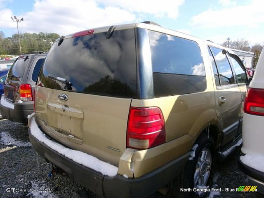 2004 Expedition XLT 4x4 - Pueblo Gold Metallic / Medium Parchment photo #4