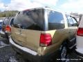 2004 Pueblo Gold Metallic Ford Expedition XLT 4x4  photo #4