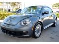 2014 Platinum Gray Metallic Volkswagen Beetle 2.5L  photo #5