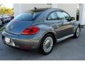 Platinum Gray Metallic - Beetle 2.5L Photo No. 8