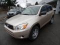 Savannah Metallic - RAV4 4WD Photo No. 2