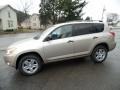 Savannah Metallic - RAV4 4WD Photo No. 3