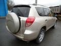 Savannah Metallic - RAV4 4WD Photo No. 6