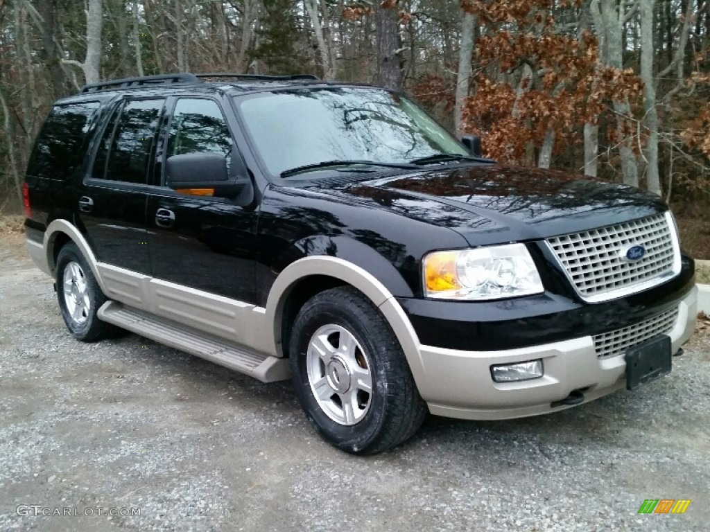2005 Expedition Eddie Bauer 4x4 - Black Clearcoat / Medium Parchment photo #3