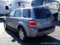 2008 Tungsten Grey Metallic Ford Escape Hybrid 4WD  photo #3