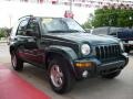 2002 Shale Green Metallic Jeep Liberty Limited 4x4  photo #5