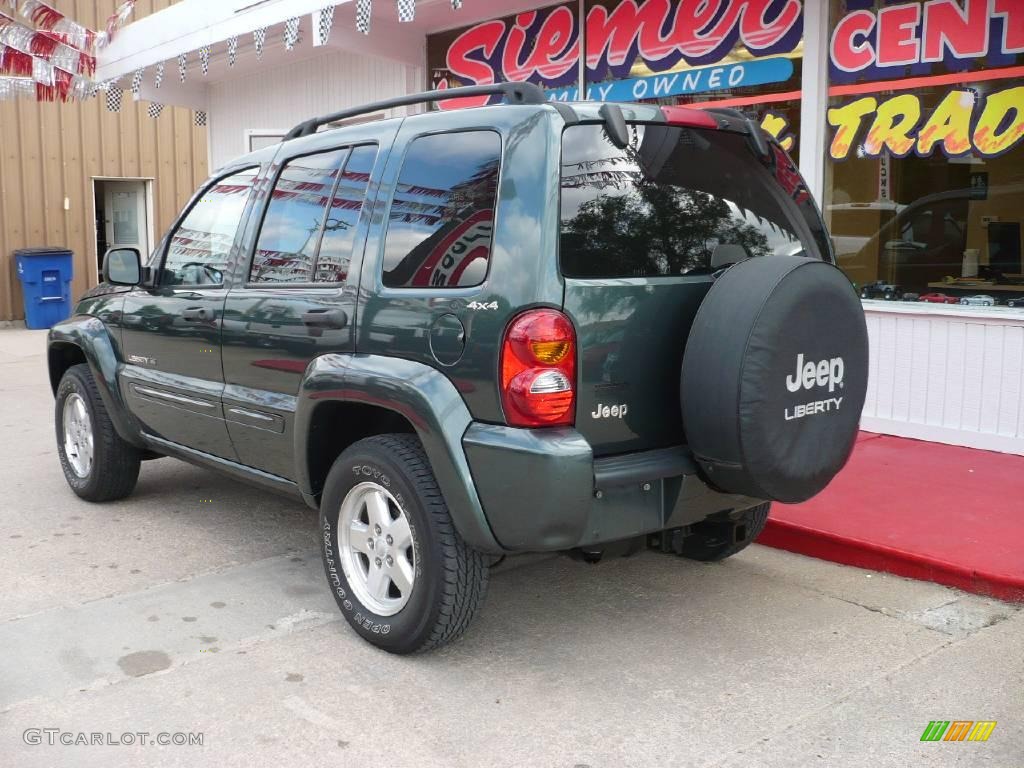 2002 Liberty Limited 4x4 - Shale Green Metallic / Dark Slate Gray photo #7