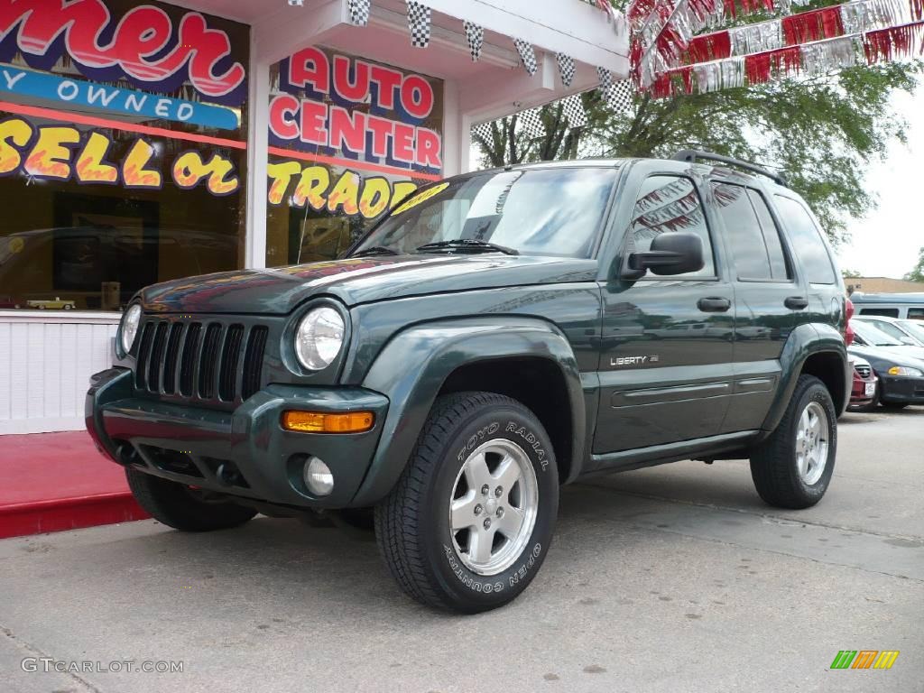 2002 Liberty Limited 4x4 - Shale Green Metallic / Dark Slate Gray photo #9