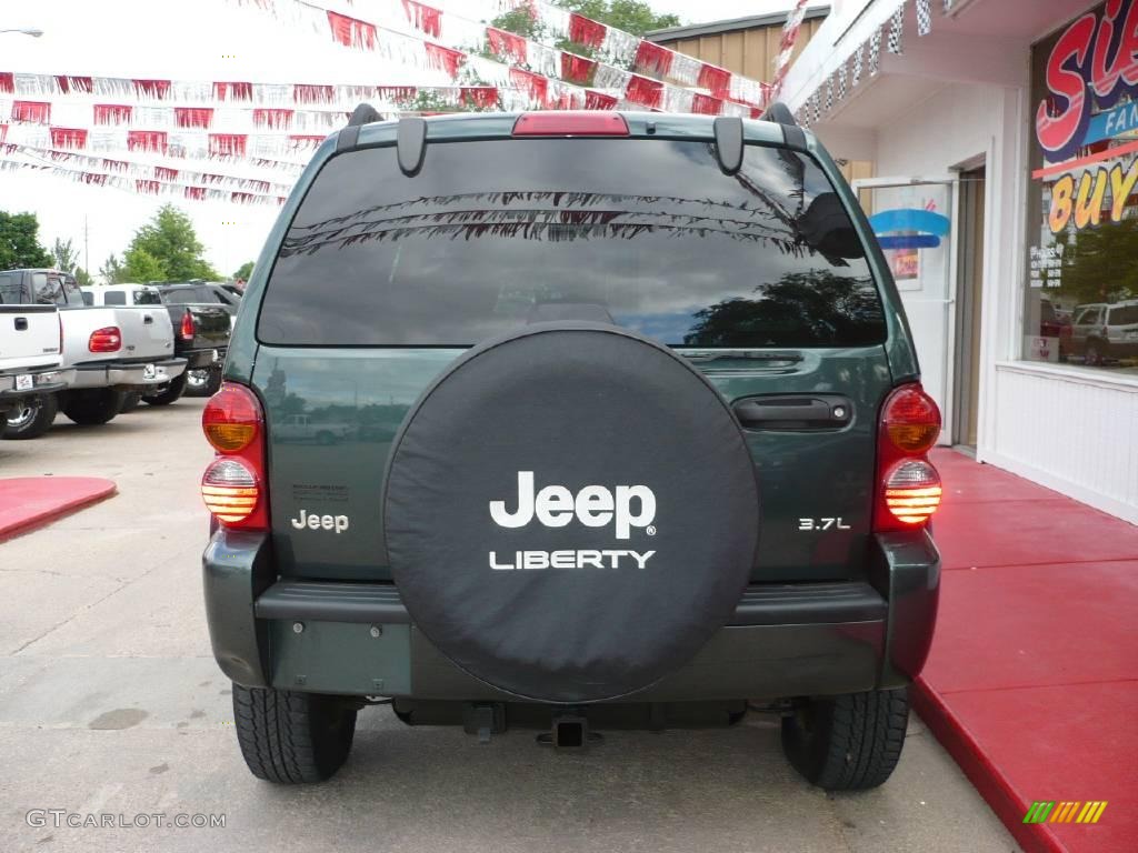 2002 Liberty Limited 4x4 - Shale Green Metallic / Dark Slate Gray photo #13