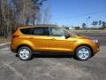 Electric Spice Metallic 2016 Ford Escape SE Exterior