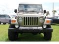 2003 Light Khaki Metallic Jeep Wrangler Rubicon 4x4  photo #2