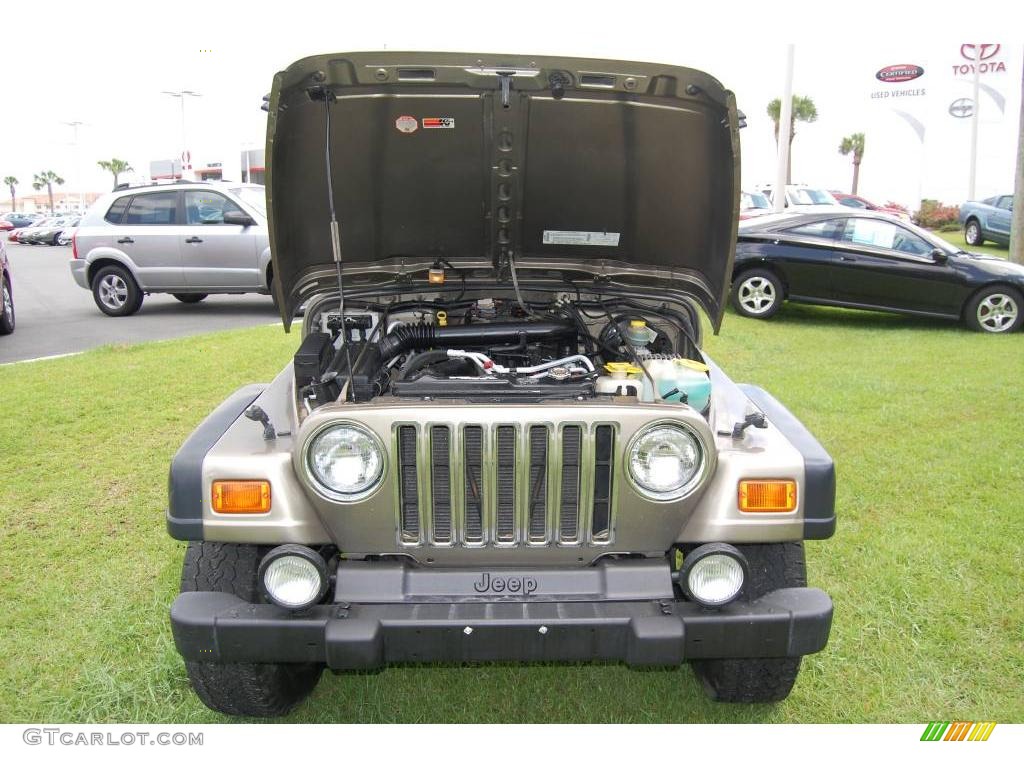 2003 Wrangler Rubicon 4x4 - Light Khaki Metallic / Khaki photo #7