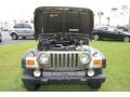 2003 Light Khaki Metallic Jeep Wrangler Rubicon 4x4  photo #7