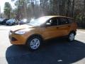 2016 Electric Spice Metallic Ford Escape S  photo #7