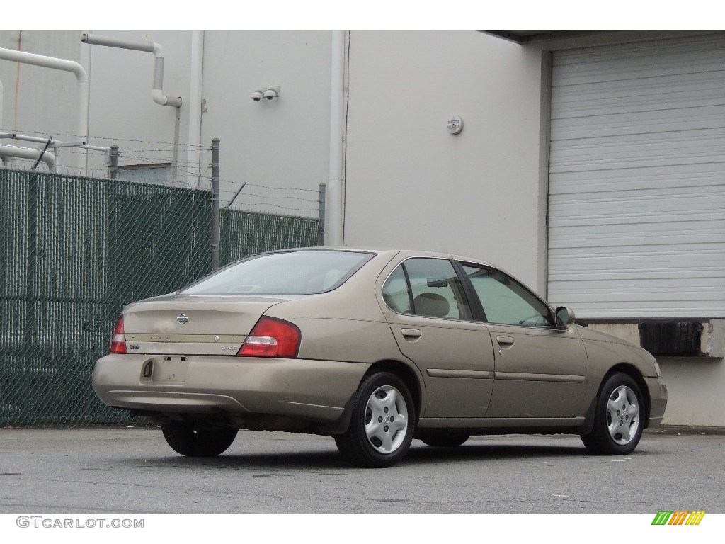 2000 Altima GXE - Sandrift Beige Metallic / Dusk Gray photo #11