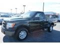 2014 Green Gem Ford F150 XL Regular Cab  photo #7