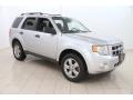 Ingot Silver Metallic - Escape XLT Photo No. 1