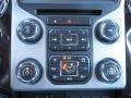 White Platinum Metallic - F250 Super Duty Platinum Crew Cab 4x4 Photo No. 25
