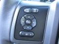 White Platinum Metallic - F250 Super Duty Platinum Crew Cab 4x4 Photo No. 29