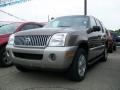 Mineral Grey Metallic - Mountaineer AWD Photo No. 1