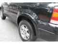 2005 Black Ford Escape Limited 4WD  photo #4