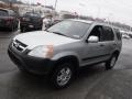 2004 Satin Silver Metallic Honda CR-V EX 4WD  photo #6