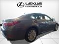 Nebula Gray Pearl - ES 350 Photo No. 2