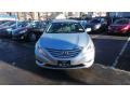 Radiant Silver - Sonata GLS Photo No. 2