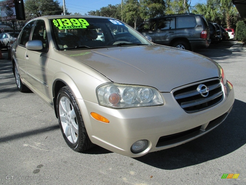 2003 Maxima GLE - Sunlit Sand / Blond photo #1