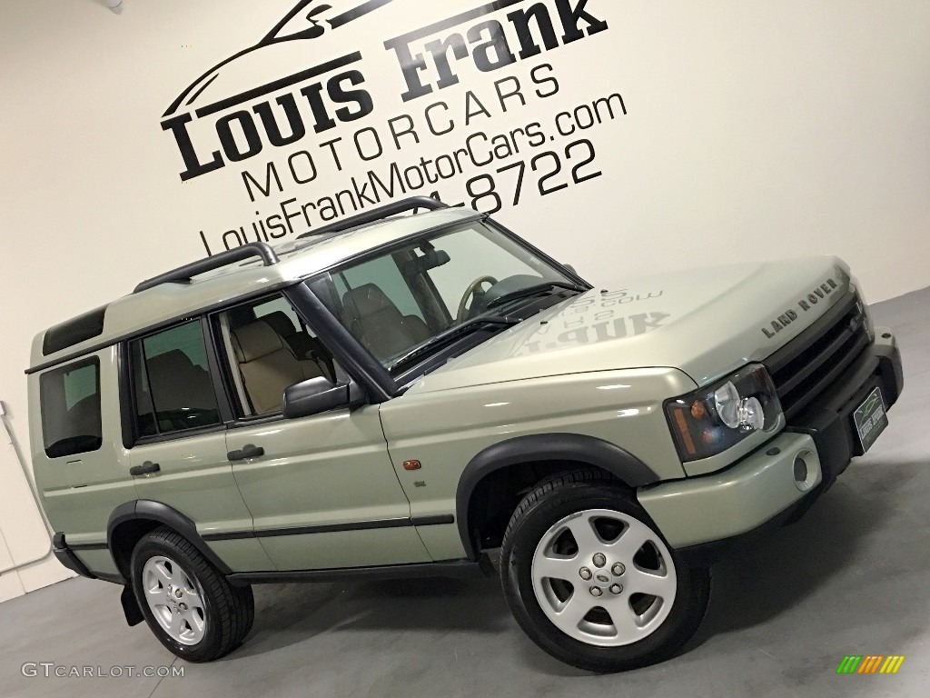 2004 Discovery SE - Vienna Green / Alpaca Beige photo #2