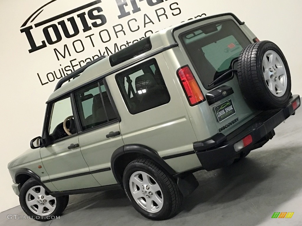 2004 Discovery SE - Vienna Green / Alpaca Beige photo #3