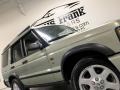 2004 Vienna Green Land Rover Discovery SE  photo #20