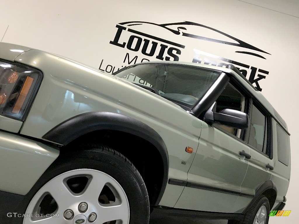 2004 Discovery SE - Vienna Green / Alpaca Beige photo #22