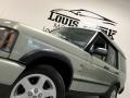 2004 Vienna Green Land Rover Discovery SE  photo #22