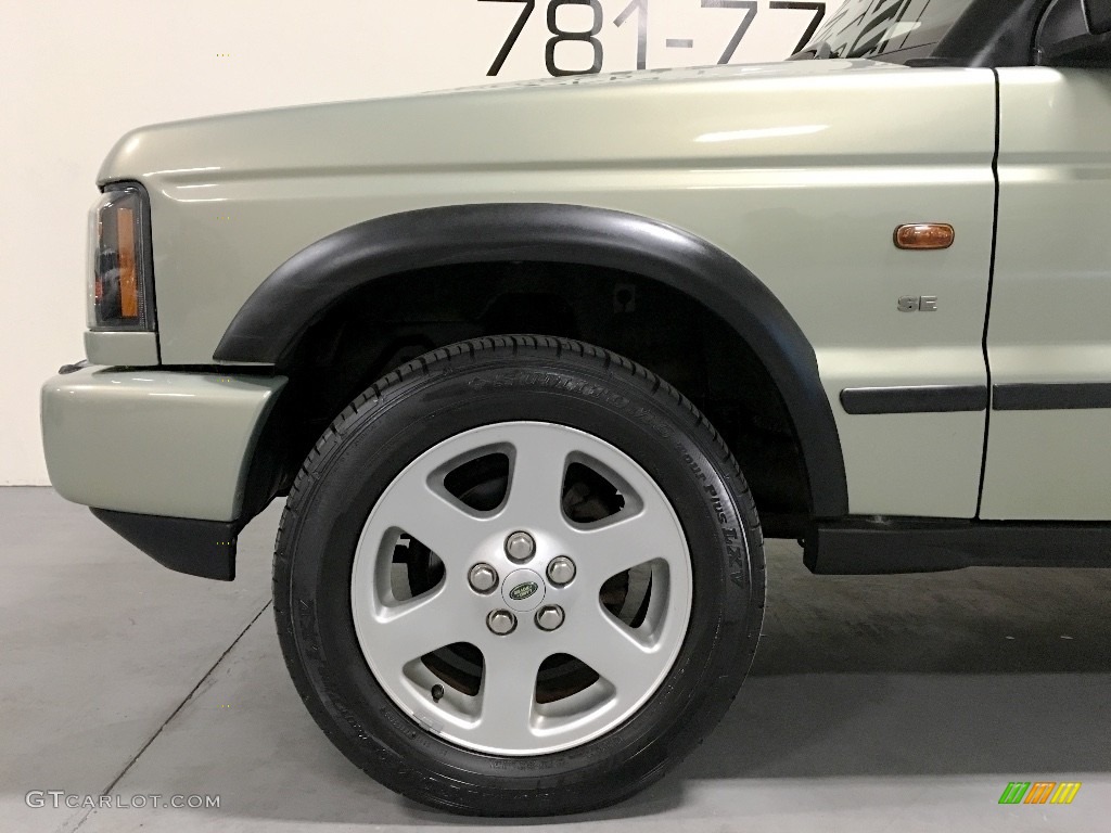 2004 Discovery SE - Vienna Green / Alpaca Beige photo #30