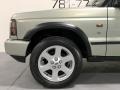 2004 Vienna Green Land Rover Discovery SE  photo #30