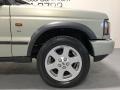 2004 Vienna Green Land Rover Discovery SE  photo #31