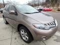 2010 Tinted Bronze Metallic Nissan Murano SL AWD  photo #7