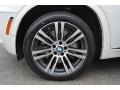 Alpine White - X5 xDrive 50i Photo No. 32
