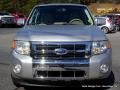 2010 Ingot Silver Metallic Ford Escape Limited V6  photo #8