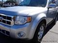 Ingot Silver Metallic - Escape Limited V6 Photo No. 30