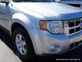 2010 Ingot Silver Metallic Ford Escape Limited V6  photo #31