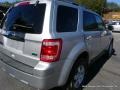 Ingot Silver Metallic - Escape Limited V6 Photo No. 32