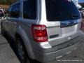 2010 Ingot Silver Metallic Ford Escape Limited V6  photo #33