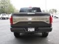 Magnetic - F150 Platinum SuperCrew 4x4 Photo No. 4